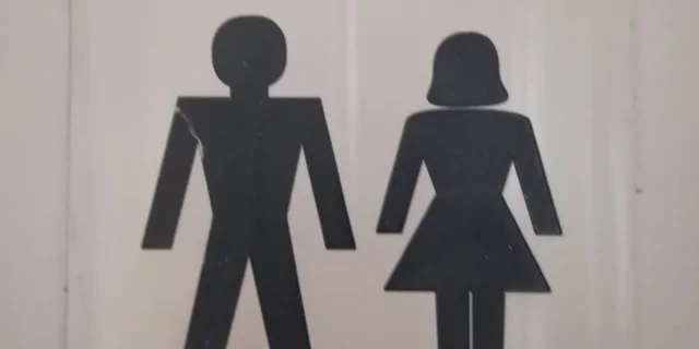 A black on white depiction of the classic female and male toilet pictograms