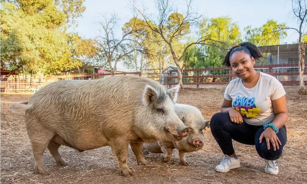 genesis butler animal rights activism farm sanctuary