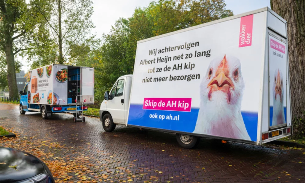 Wakker Dier chasing a home delivery van from supermarket Albert Heijn