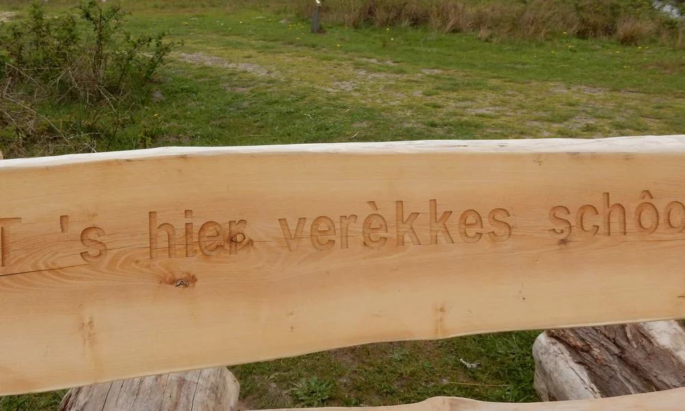 Brabantish at Huis ter Heide