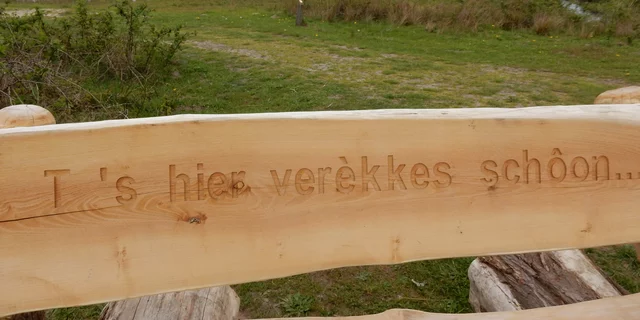 Brabantish at Huis ter Heide