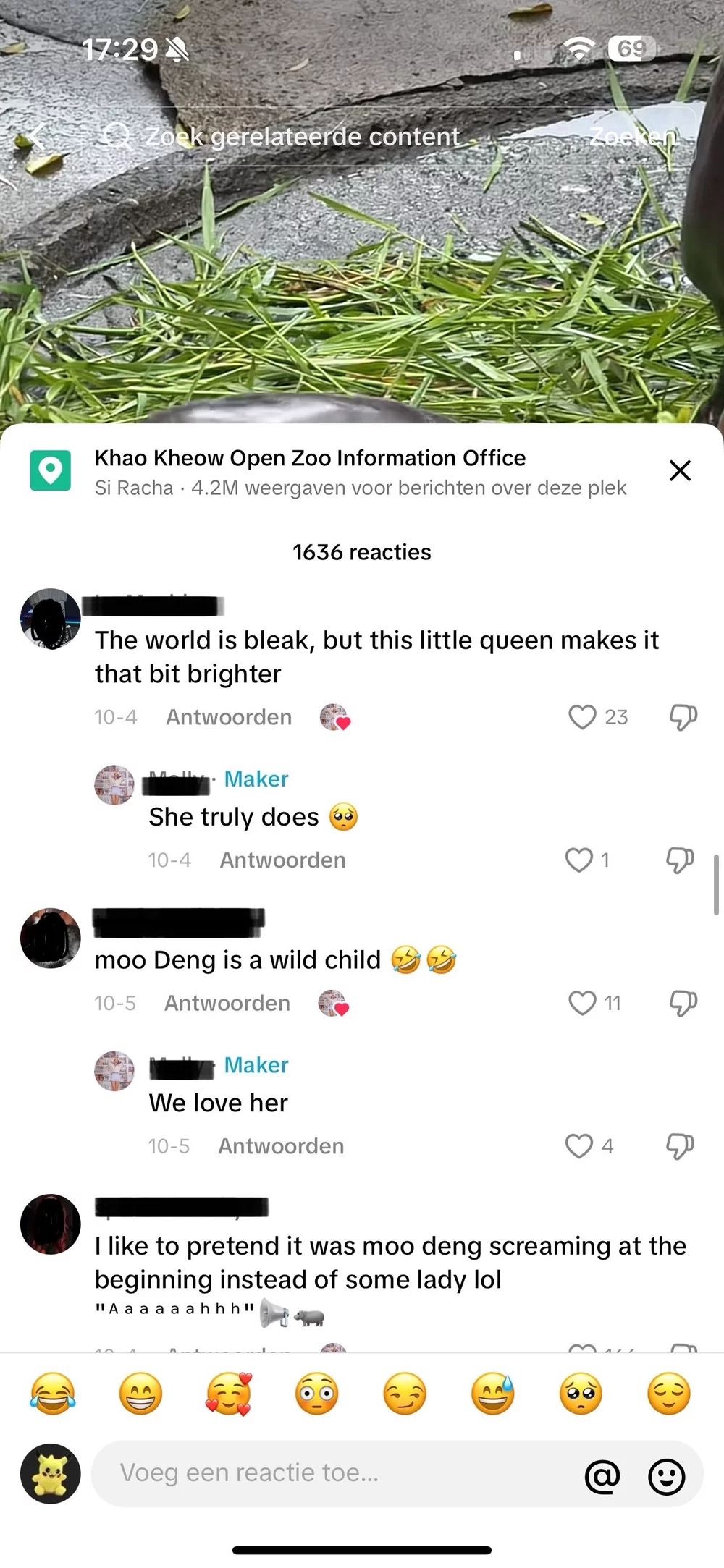 : Some TikTok comments on a video about Moo Deng (@Molly, 2024)