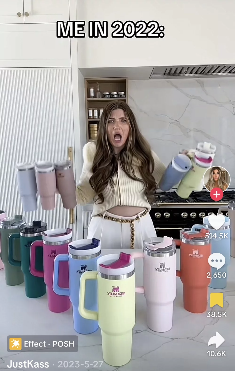 Parker, K. [@justtkass]. (2023). I think i may have too many 😅 #stanleycup #funny #fyp [Video]. TikTok. https://www.tiktok.com/@justtkass/video/7237977256662945070