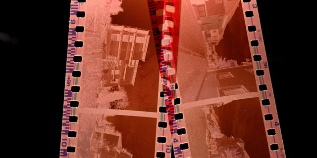 Photo by Immo Wegmann on Unsplash