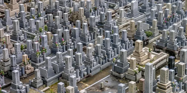 gravedigging, digital shaming, digital gravedigging, social media celebrities