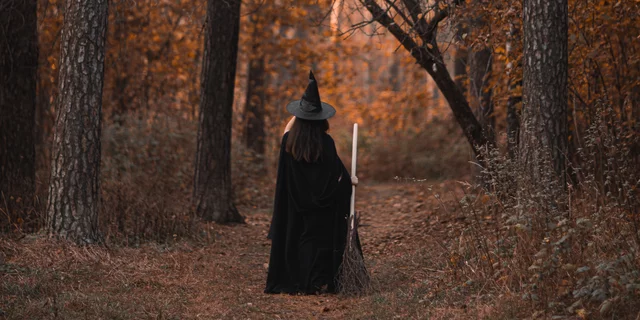 Witch in the woods