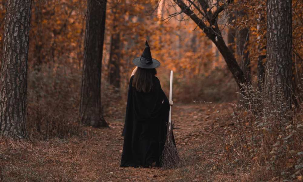 Witch in the woods