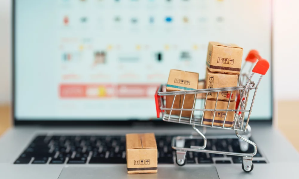 Image found on Canva. https://www.canva.com/features/free-stock-photos/