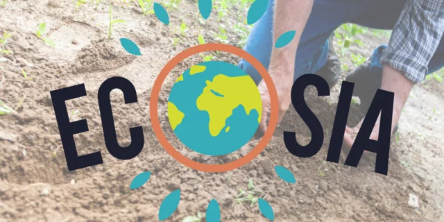 Ecosia: The Rising Power of the Green Search Engine