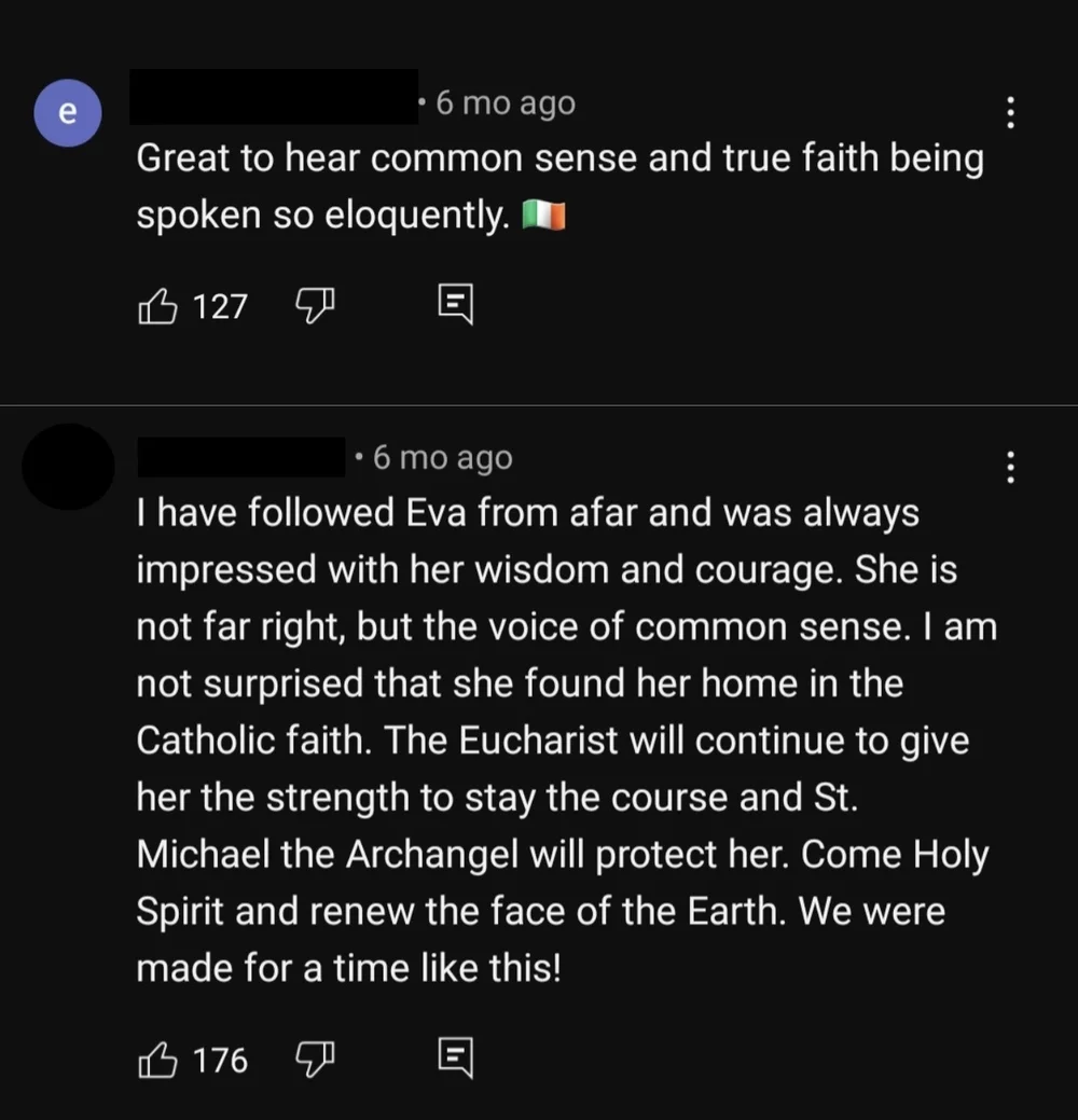 Comments on Vlaardingerbroek's interview