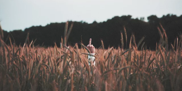 Reddit users asshole judgments