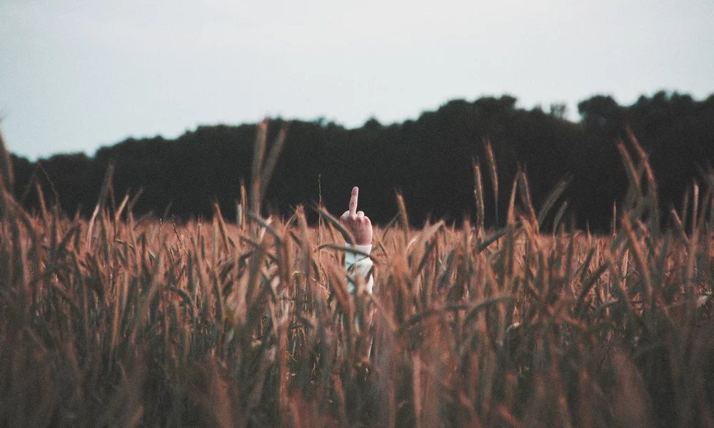 Reddit users asshole judgments